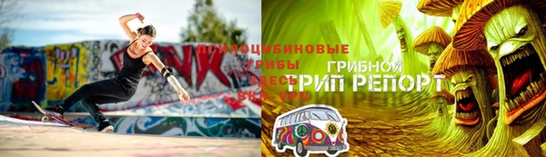 прущие крисы Вяземский