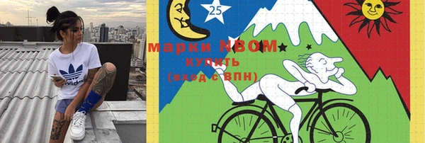 прущие крисы Вяземский
