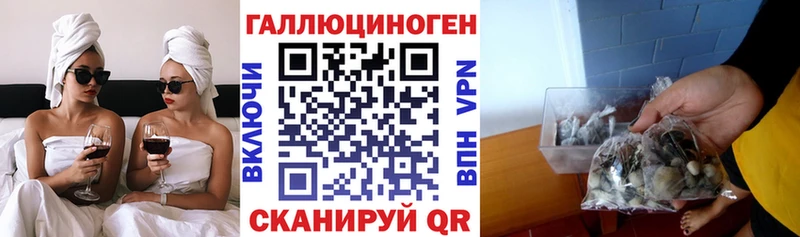 Псилоцибиновые грибы Psilocybe Новоаннинский